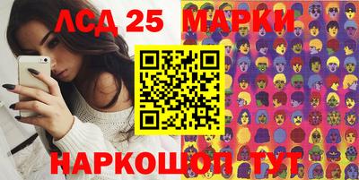 индика Камышлов