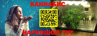 индика Камышлов