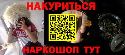 индика Камышлов