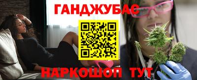 индика Камышлов