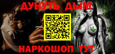 индика Камышлов