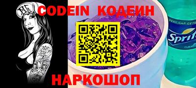 индика Камышлов