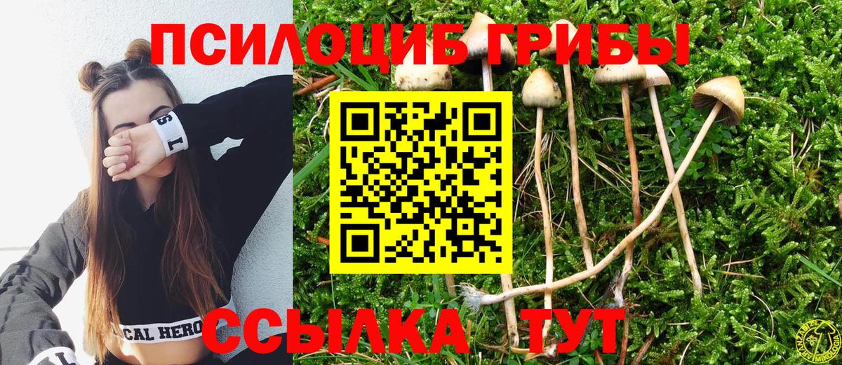 Галлюциногенные грибы Cubensis Кстово