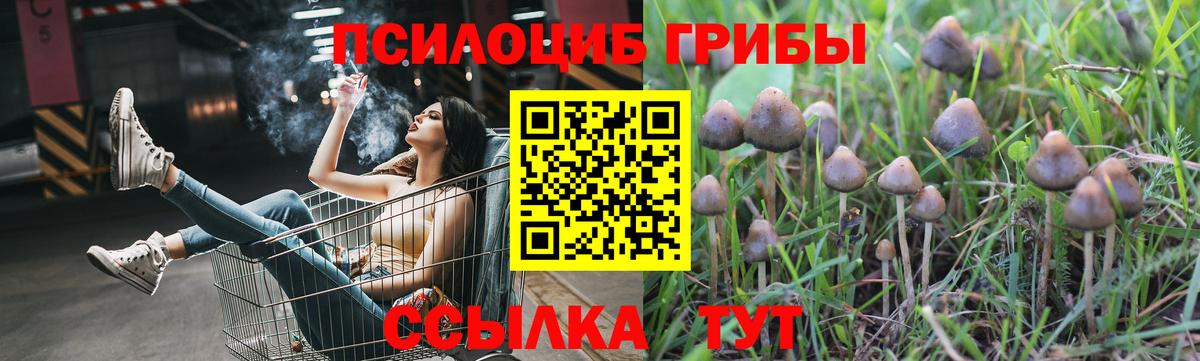 Кстово  Галлюциногенные грибы Cubensis  Вход с VPN 